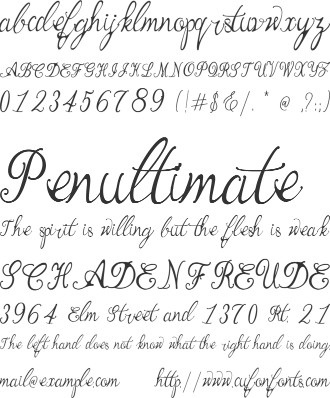 Manhattan Script font preview