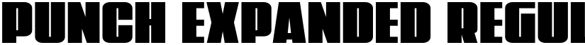 Punch Expanded Regular font
