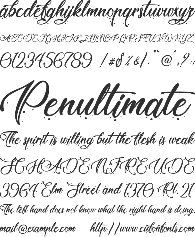 Kashmir Rosy - Personal Use font preview