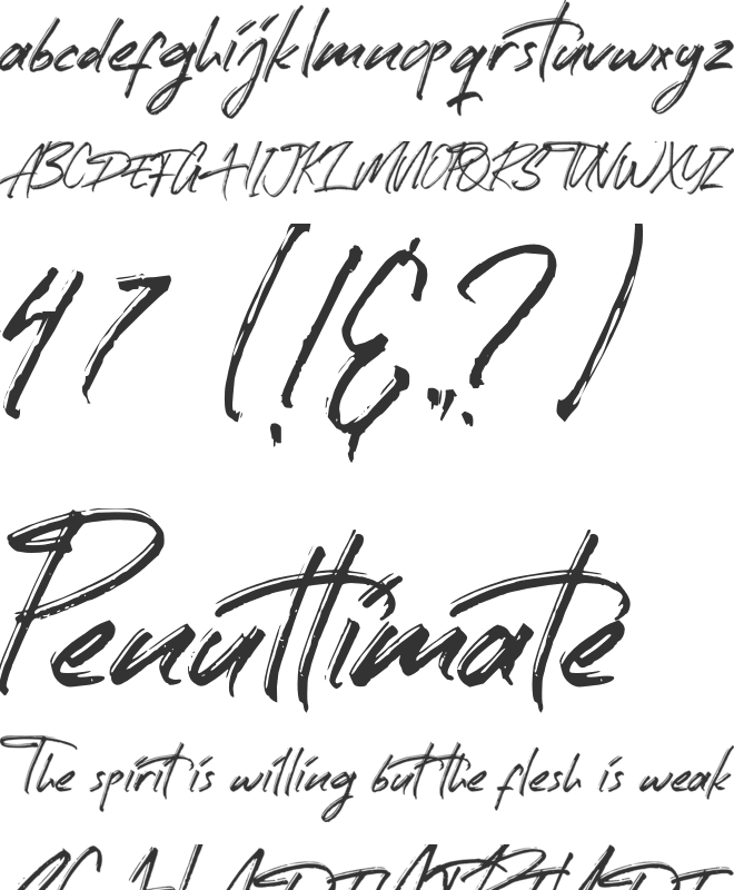 Street Photography font preview