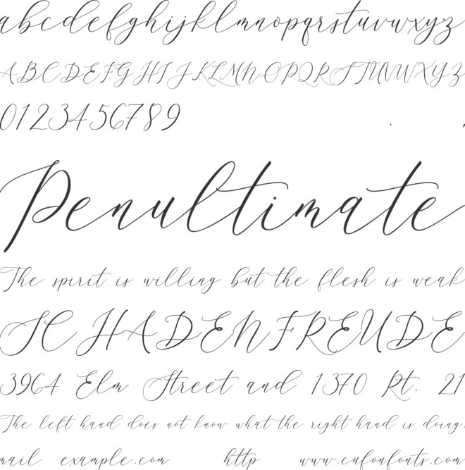 Larosa font preview