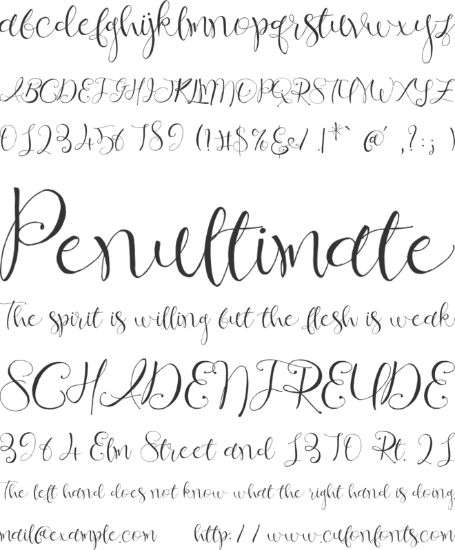 Ochre Script font preview