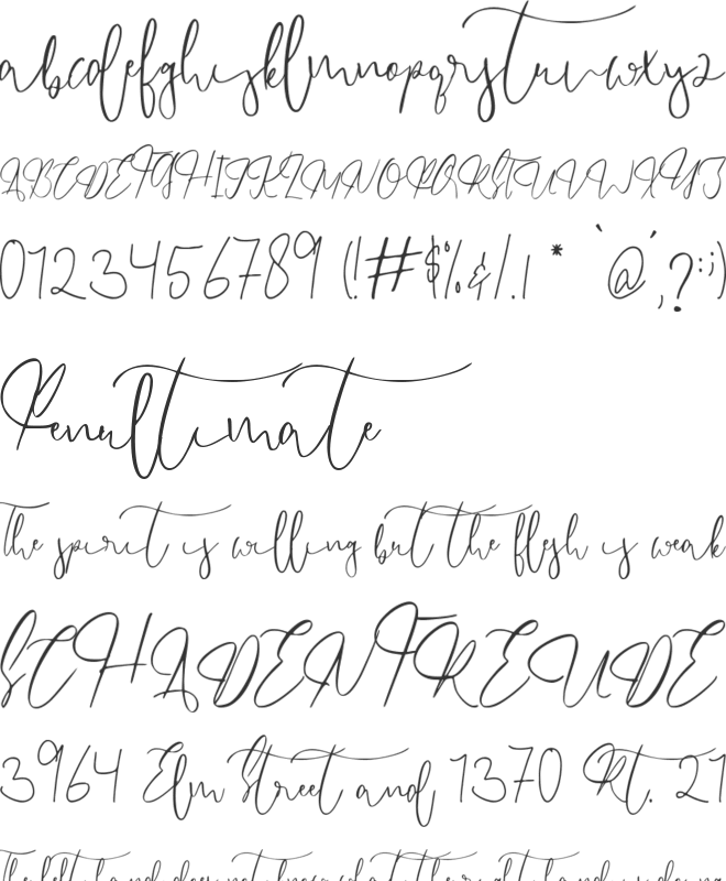 Endossement font preview