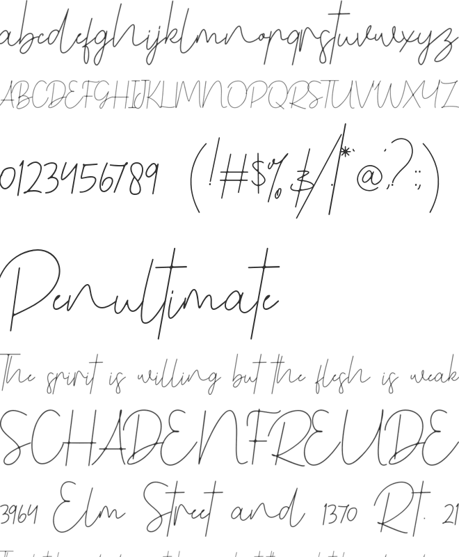 Benedela Signature font preview