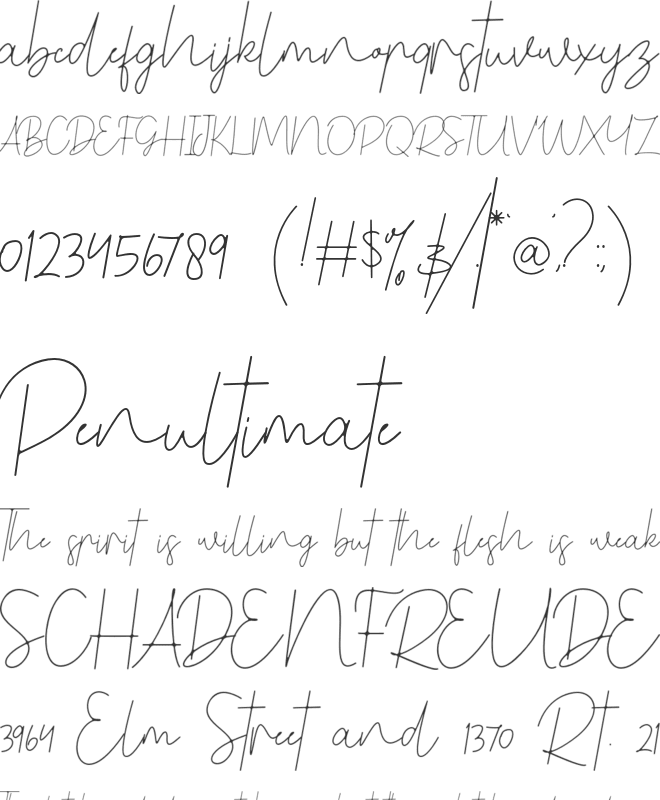 Benedela Signature font preview