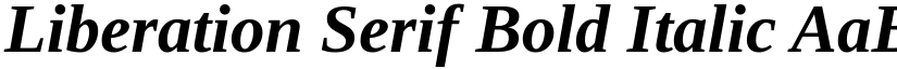 Liberation Serif Bold Italic font