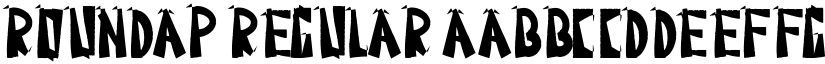 Roundap Regular font