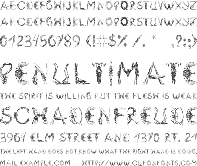 Insektofobiya font preview