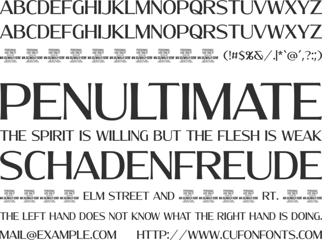 Molly Serif N PERSONAL font preview