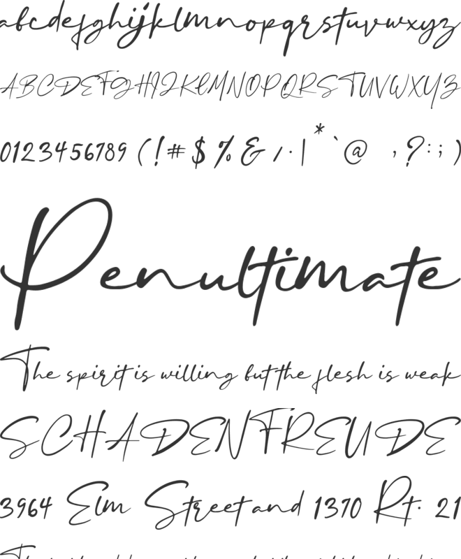 Blustori Tiller font preview