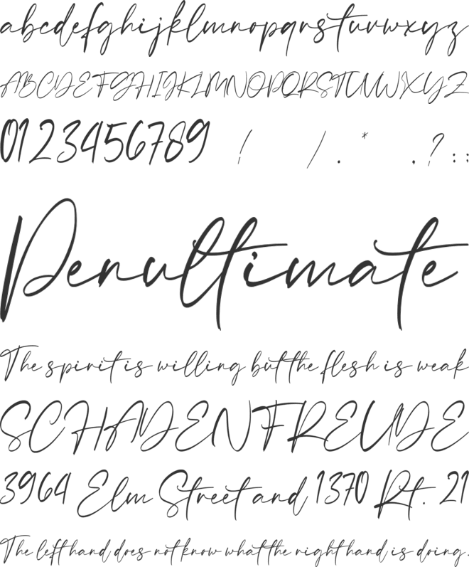 Safina Bralyn font preview