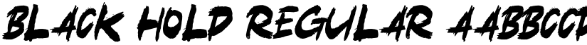 Black Hold Regular font