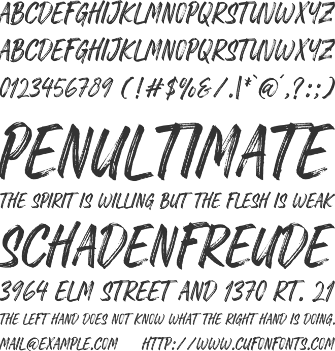 Rawk Brush font preview