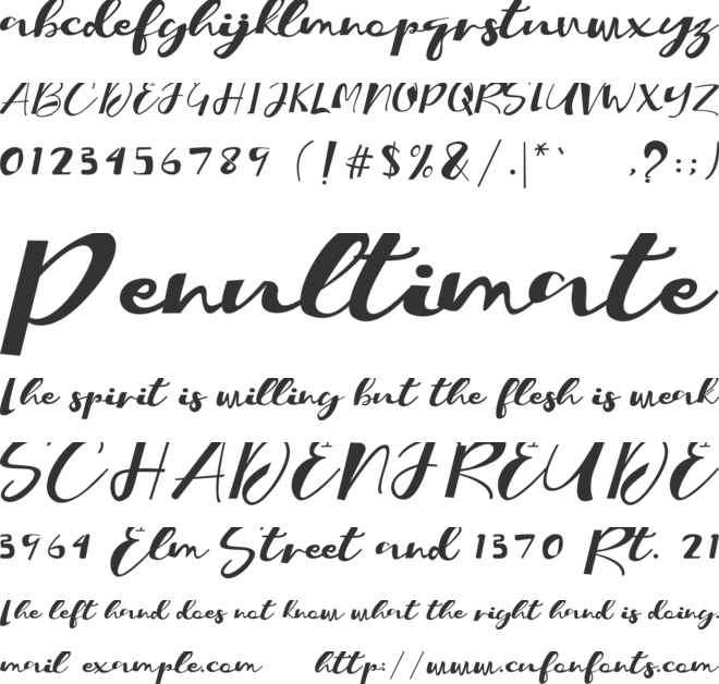 Crocodile font preview