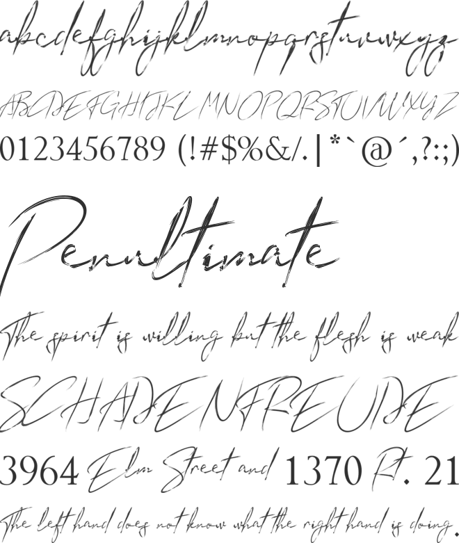 Sun Brush font preview