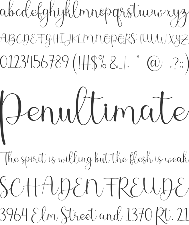 Dianita font preview