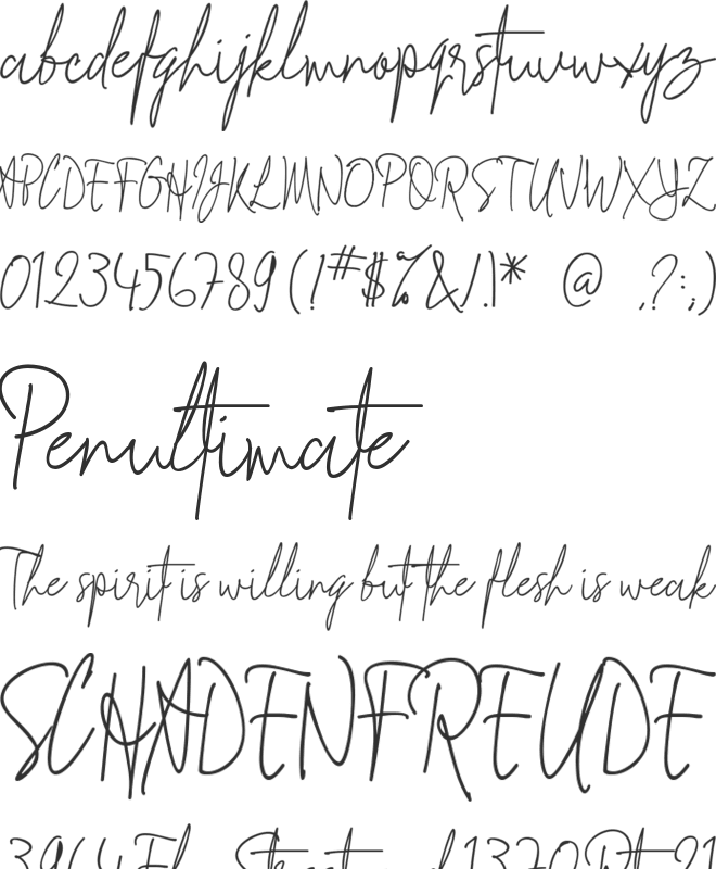 Signathy font preview