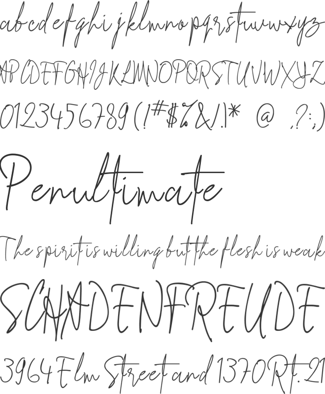 Signathy font preview