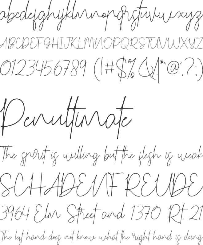 Carmelia font preview