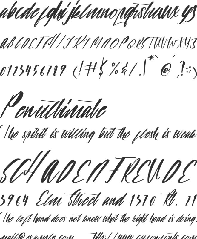 firstime font preview