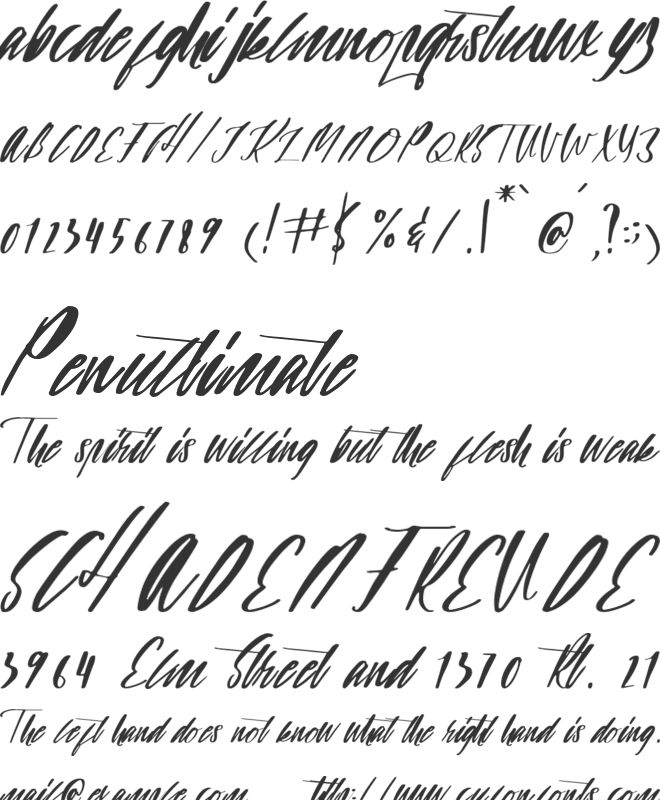 firstime font preview