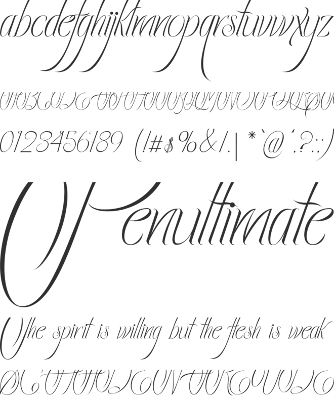 Ecalyars font preview