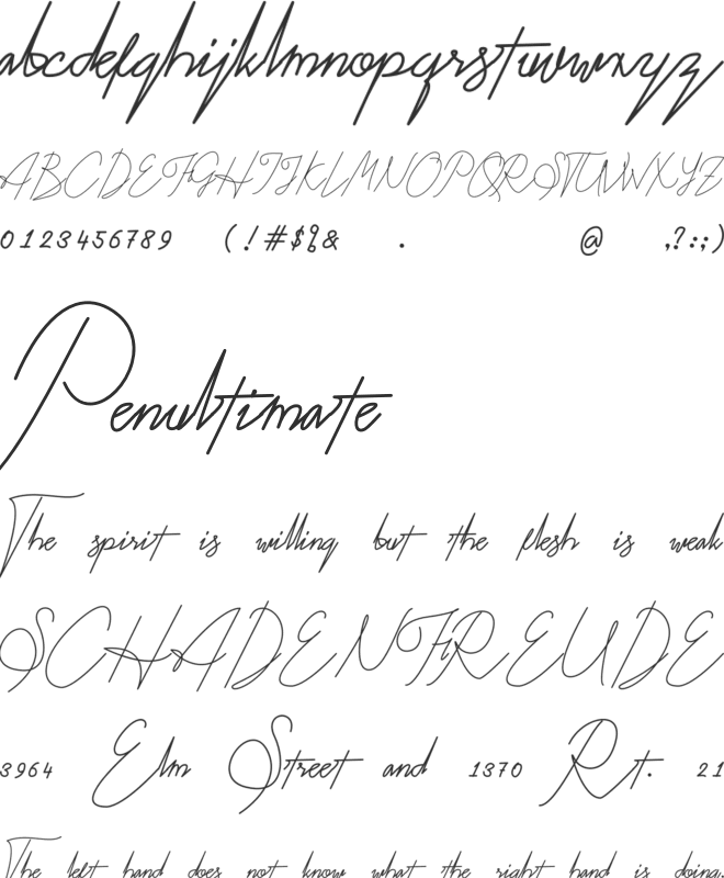 Kitti Script font preview