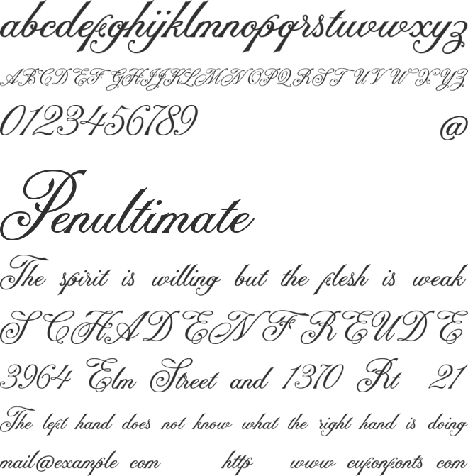 NS Champtone Script font preview