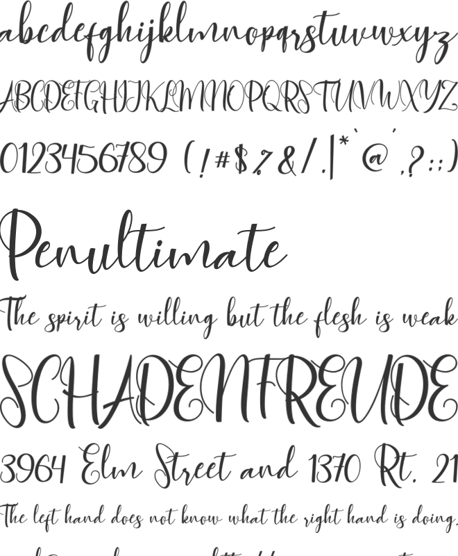 Agnesia font preview