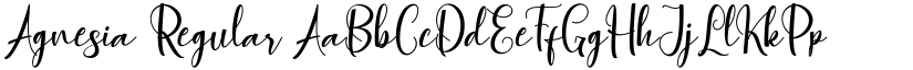 Agnesia Regular font