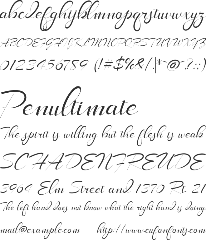 LongShine Script font preview