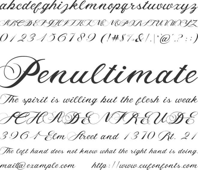 callidar font preview