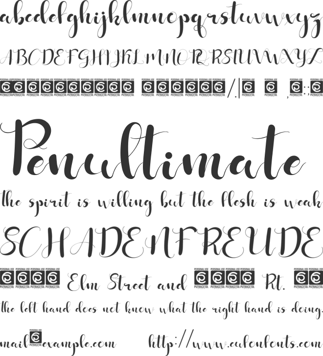 Shafiqa font preview