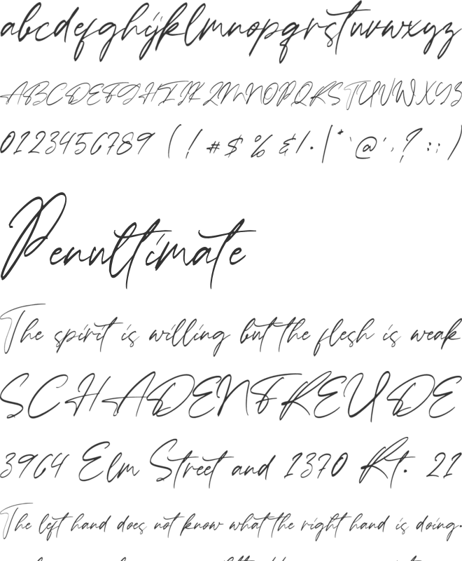 Ballerina font preview