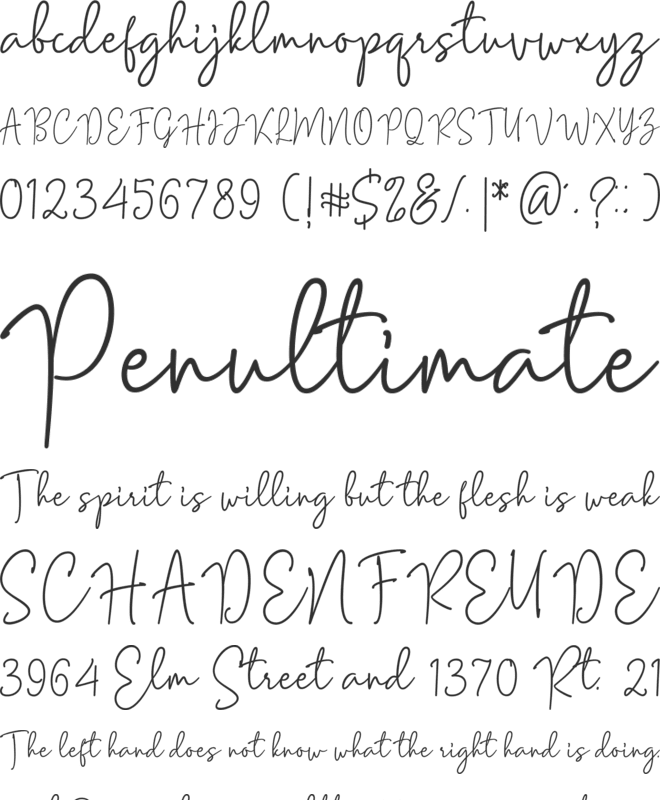 Momday font preview