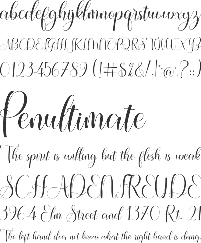 Qelly Violentia font preview