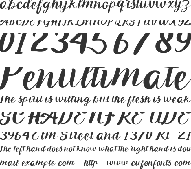 Flower White font preview