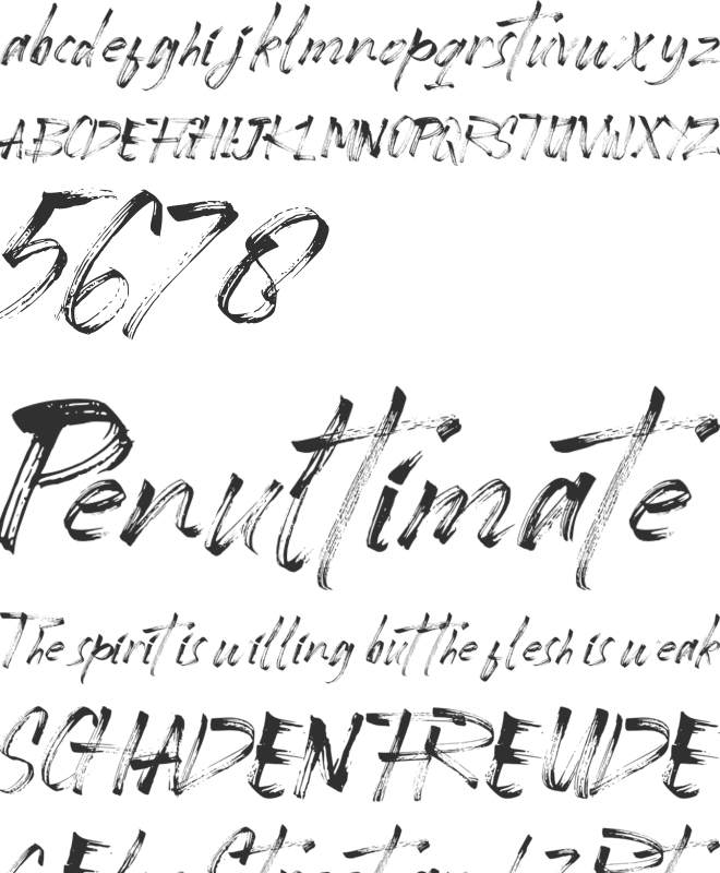Contradiction font preview