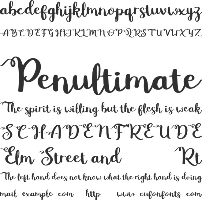 Betty Rose Free font preview
