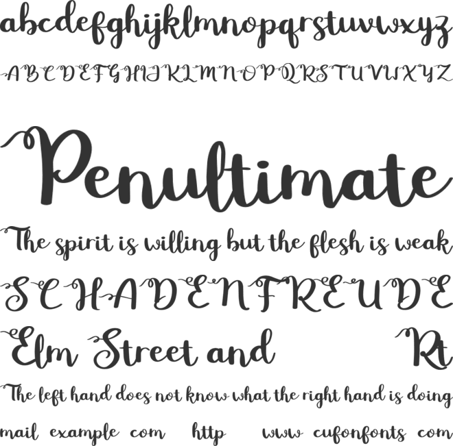 Betty Rose Free font preview