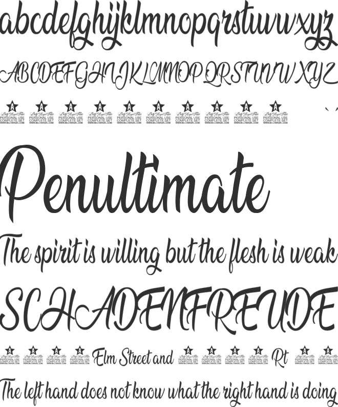 Christine Personal Use font preview