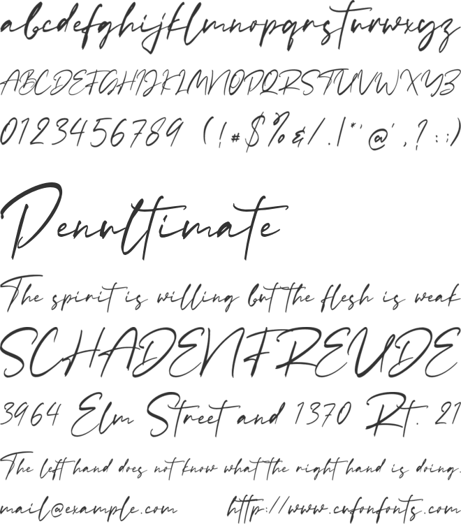 Rachelyne font preview