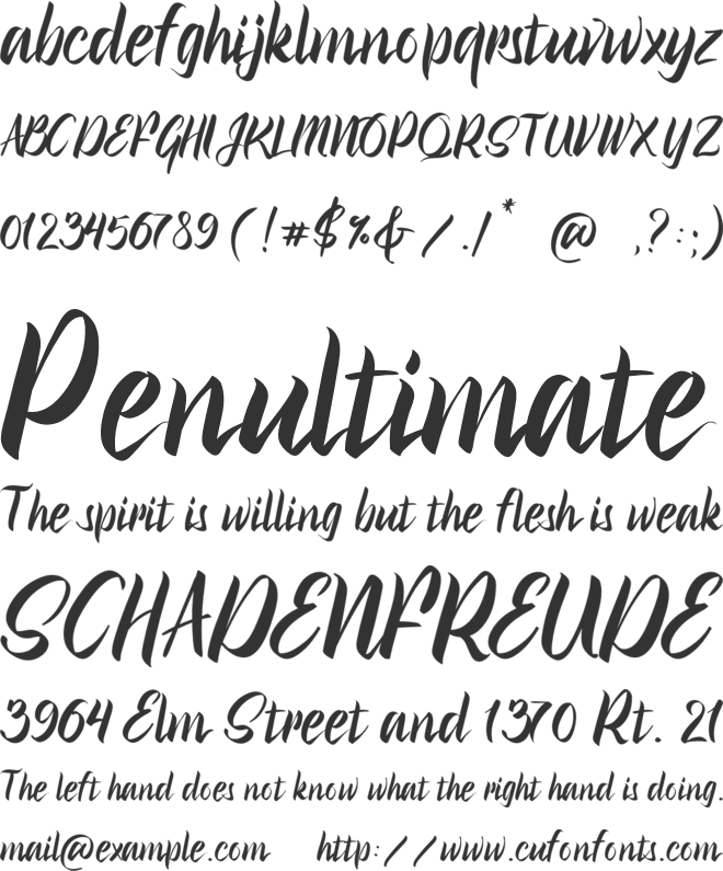 Brush Fila font preview