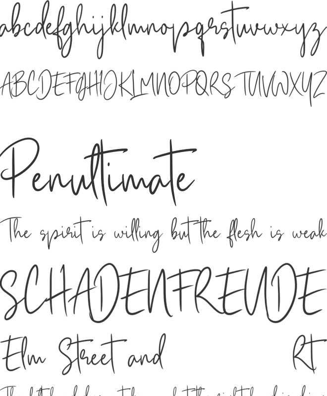 Registand font preview