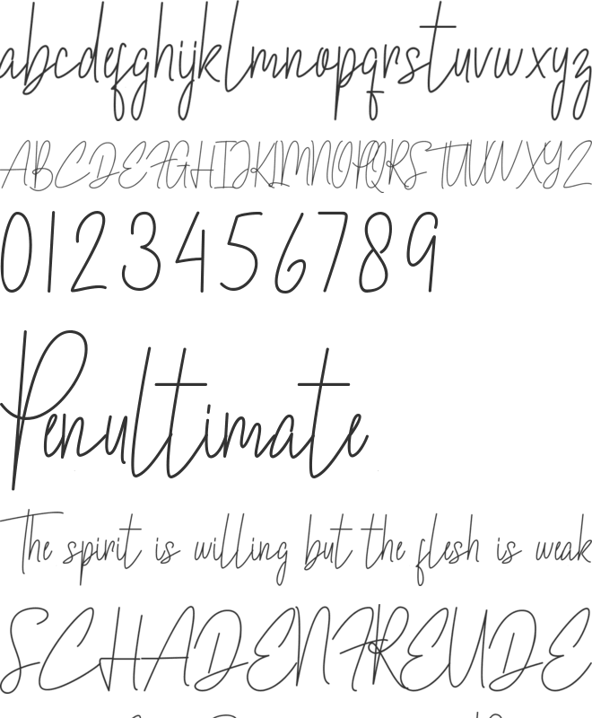 Biellsa font preview