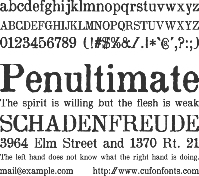 zai Drukarnia Akademii Krakowskiej 1674 font preview