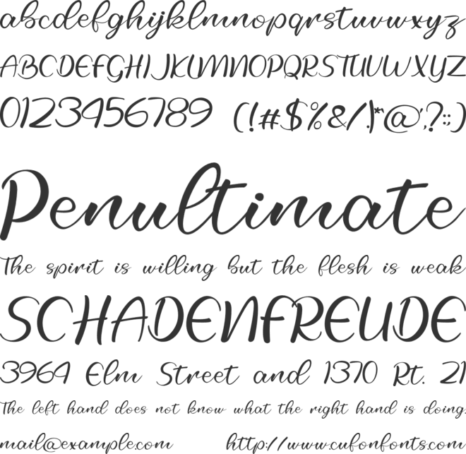 Selfila font preview