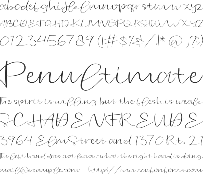 cinnamon font preview