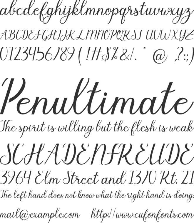 Salvyna font preview