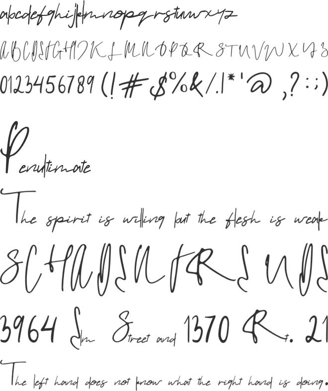 delight font preview